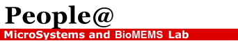banner-people.gif (4579 bytes)